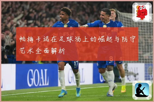 帕梅卡诺在足球场上的崛起与防守艺术全面解析