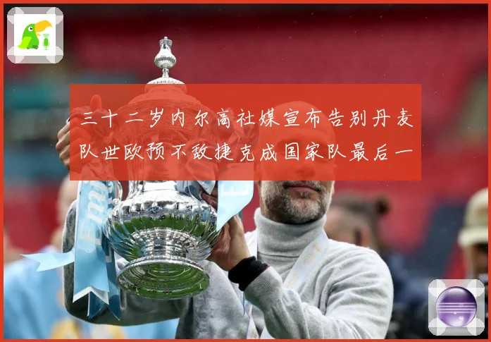 三十二岁内尔高社媒宣布告别丹麦队世欧预不敌捷克成国家队最后一战术观察