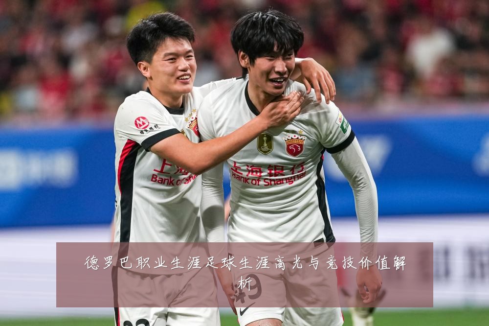 德罗巴职业生涯足球生涯高光与竞技价值解析